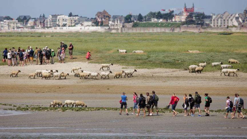 Les Arts - Cocon Romantique En Baie De Somme Boismont  Extérieur photo